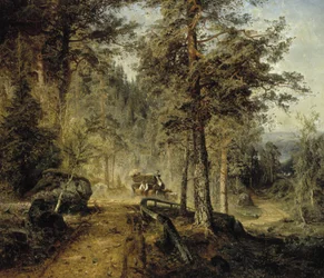 Tie Hämeessä (kuuma kesäpäivä)